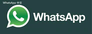 如何将WhatsApp视频转换为文本消息？